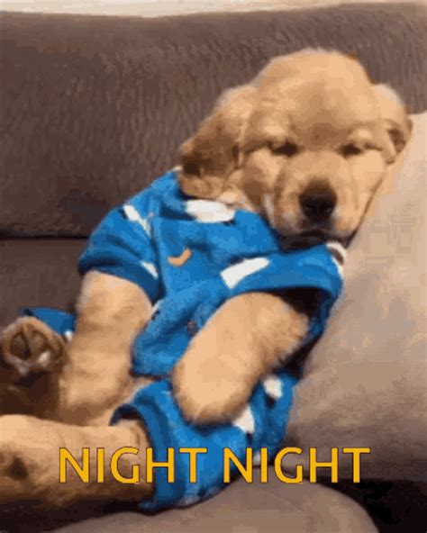 Share the best GIFs now >>>. . Funny good night gif